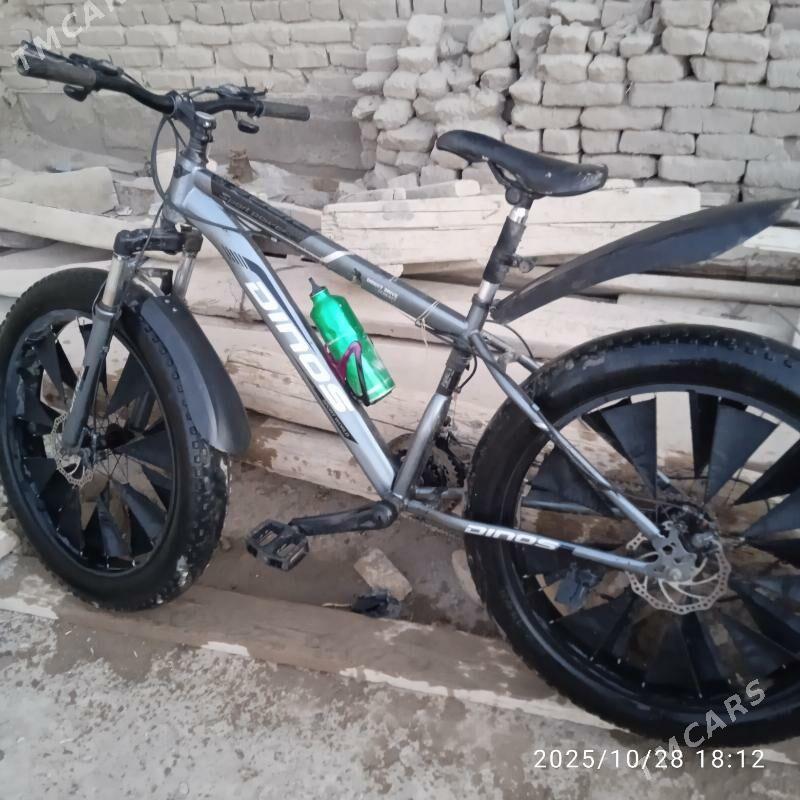 tigir - Daşoguz - img 3