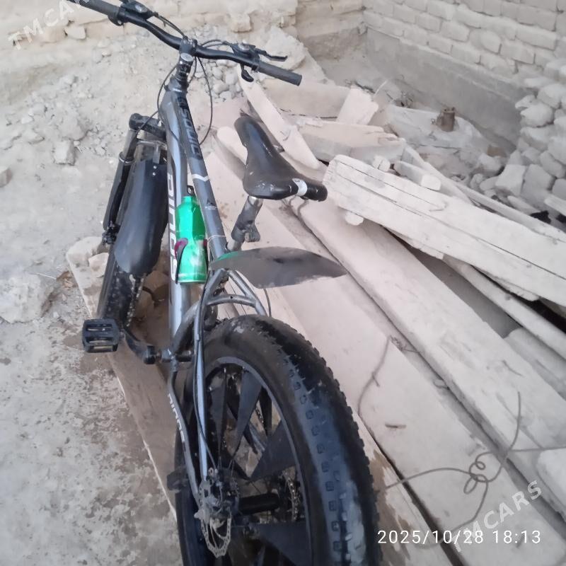 tigir - Daşoguz - img 5