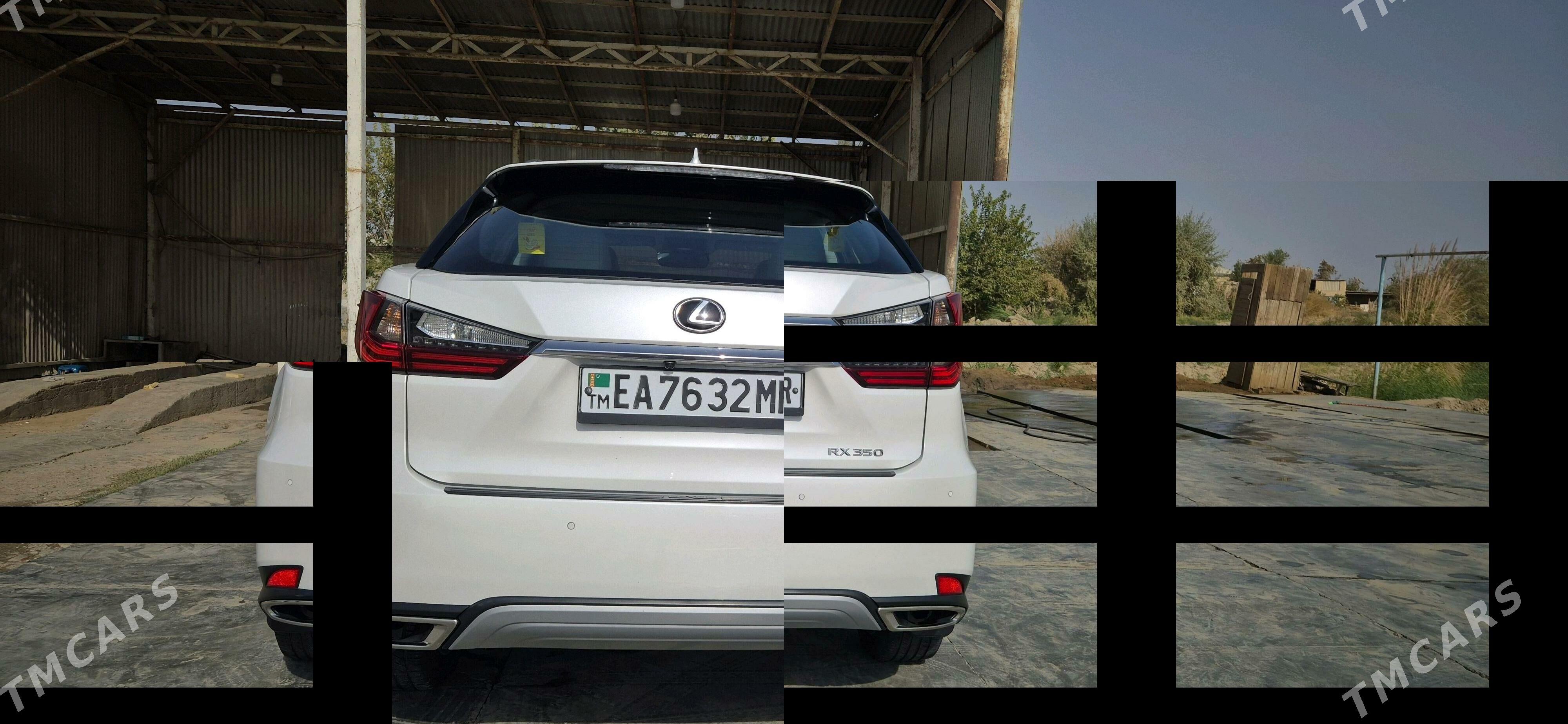 Lexus RX 350 2020 - 520 000 TMT - Mary - img 4