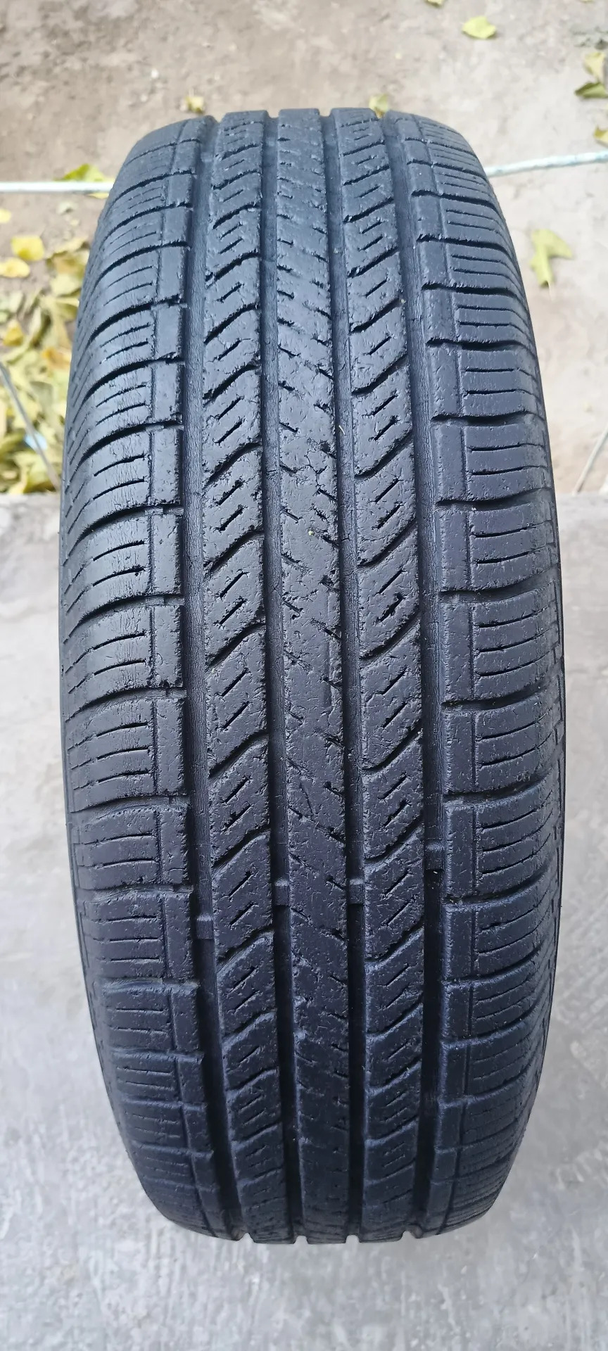 225.75.15  1stuk 300m 300 TMT - Дашогуз - img 3