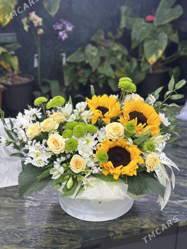 isgar gerek - Ашхабад - img 1