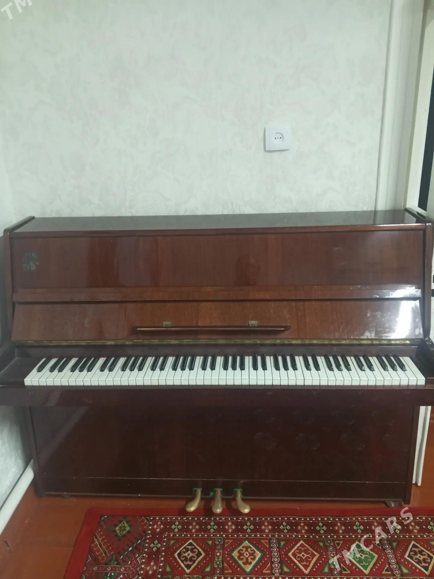 пионино Аккорд - Туркменабат - img 2