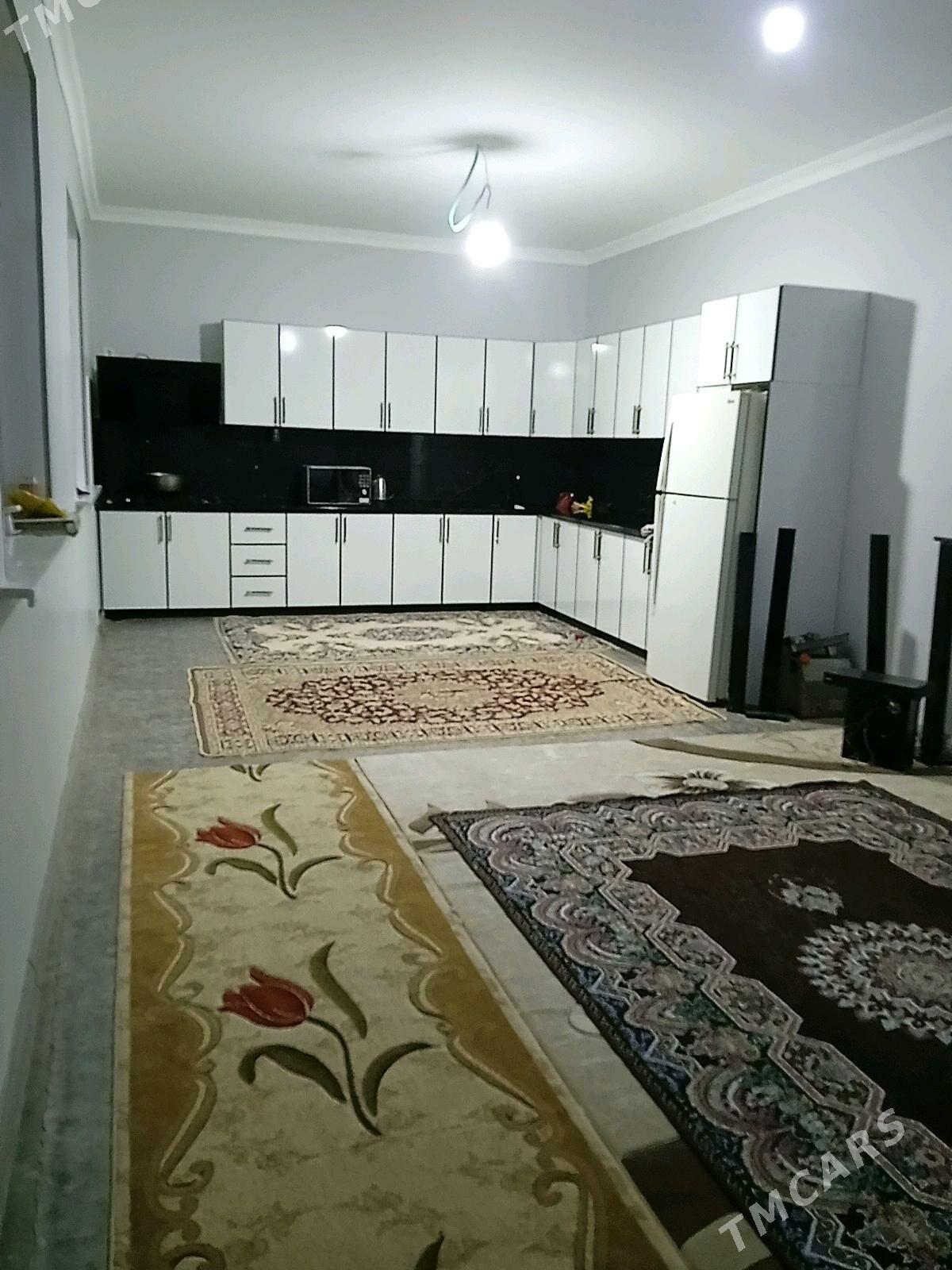 Mellek - Türkmenabat - img 2