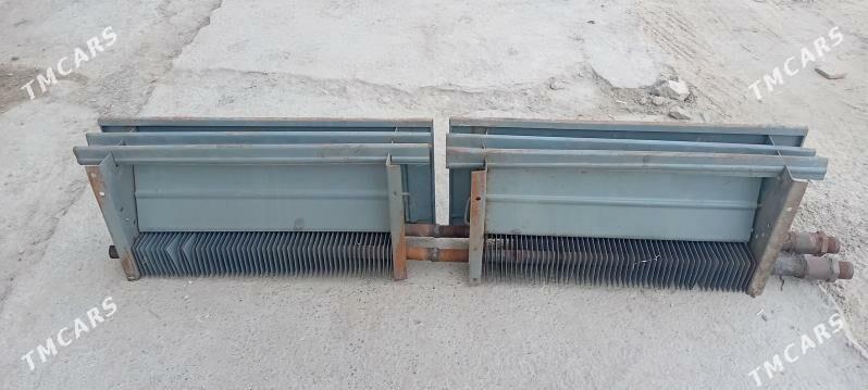 Gyzdyryjy Otoplenýa - Mary - img 1