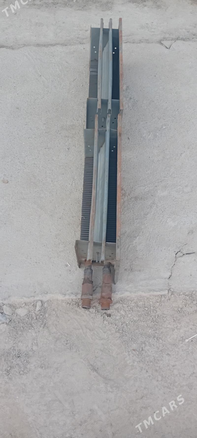 Gyzdyryjy Otoplenýa - Mary - img 3