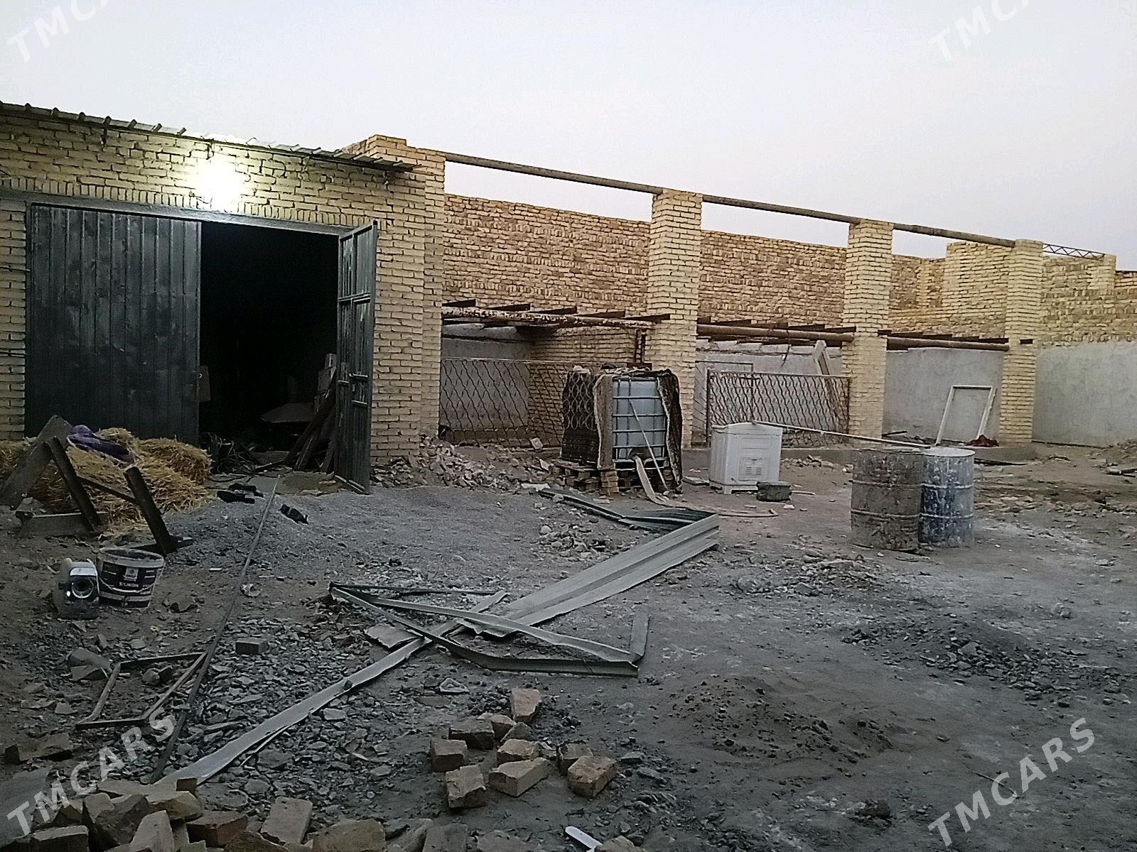 Mellek - Türkmenabat - img 4