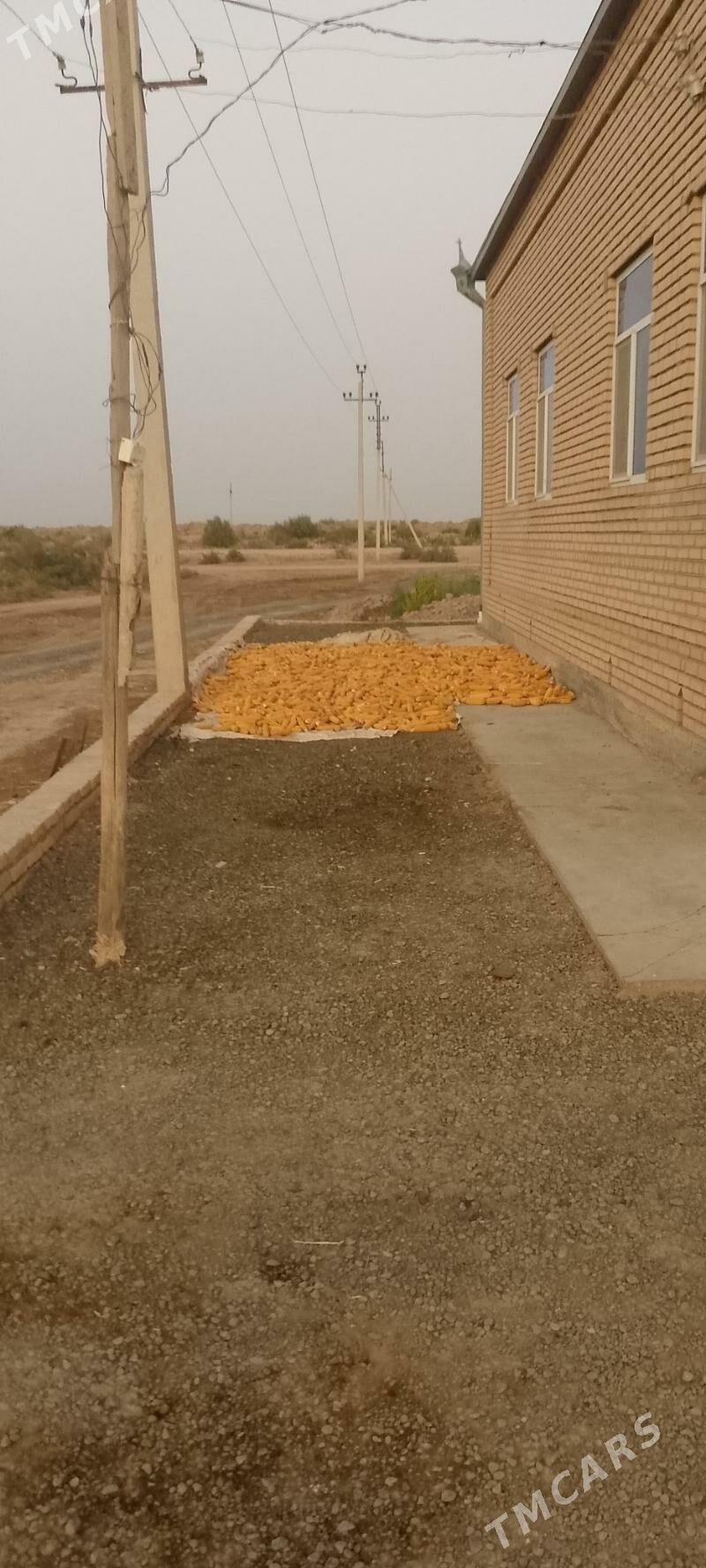 mekge - Oguz han - img 1