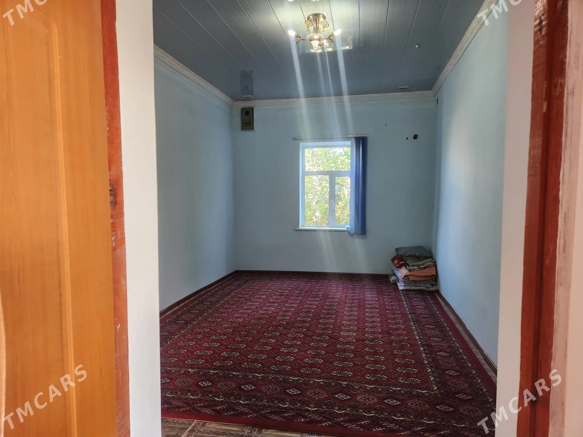 satlyk jay - Mary - img 3