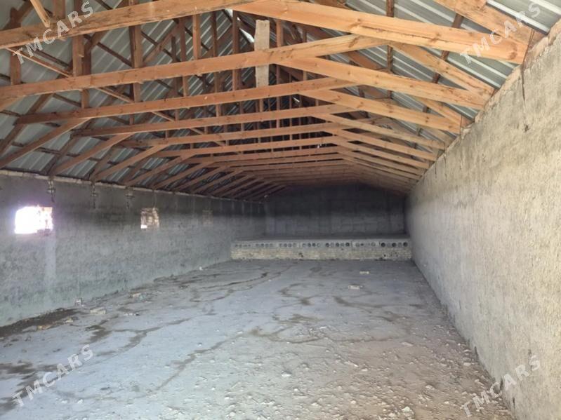 Satlyk howly - Türkmenabat - img 7