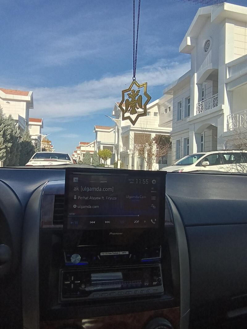 PIONEER 6 800 TMT - Änew - img 2