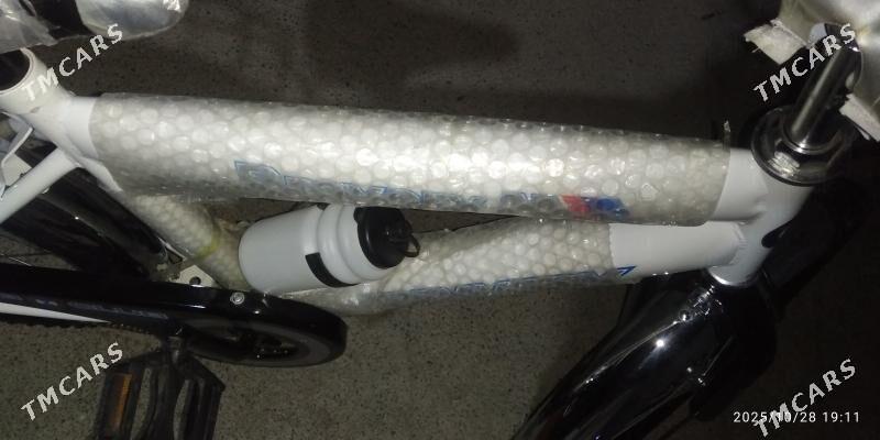 welsebit - Сакарчага - img 5