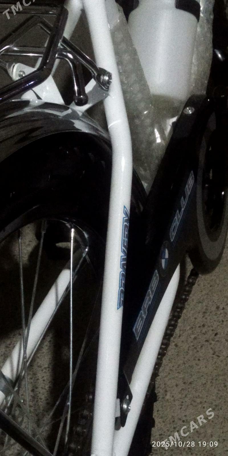 welsebit - Сакарчага - img 4