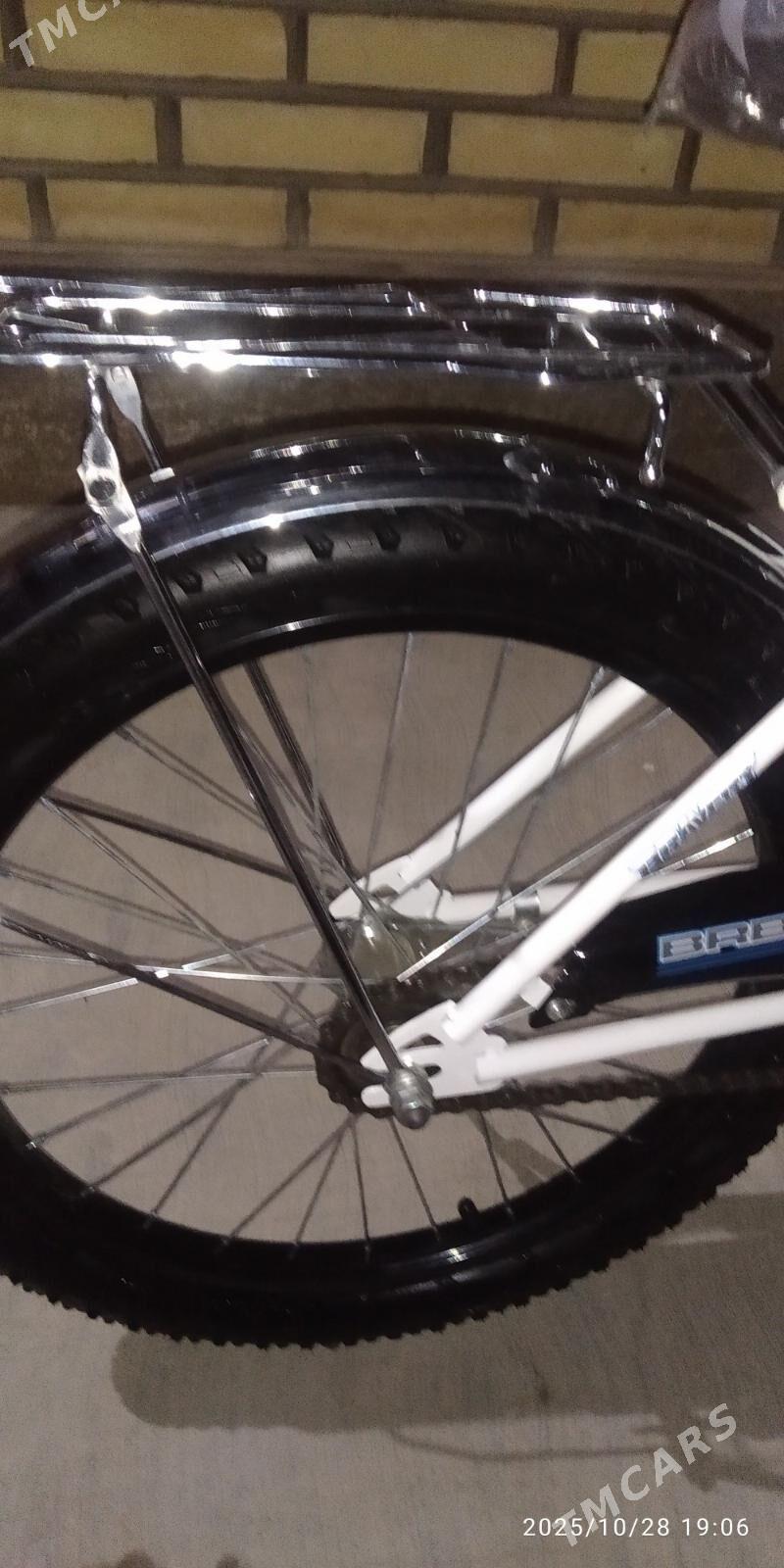 welsebit - Сакарчага - img 3