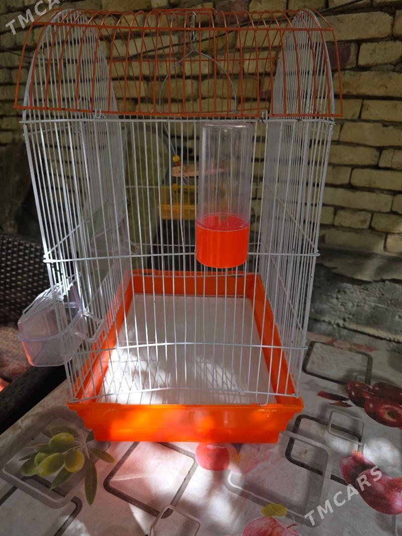 popugay setka - Hitrowka - img 2