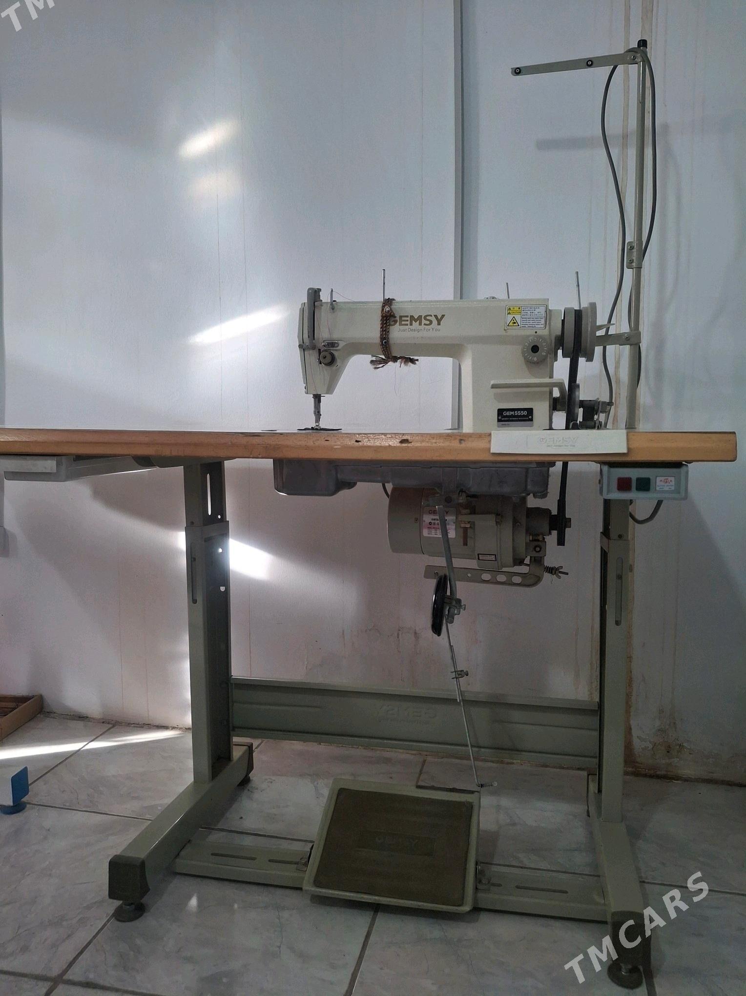 Gemsy tikin masyn - Tejen - img 2