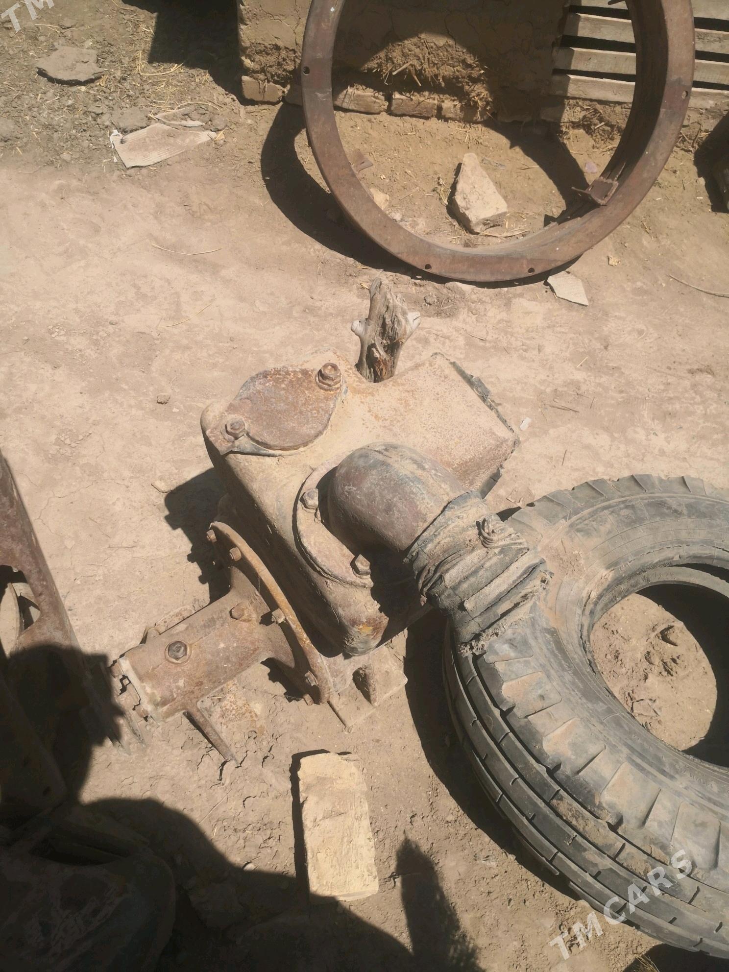 Nasos woma gosulyan - Mary - img 1