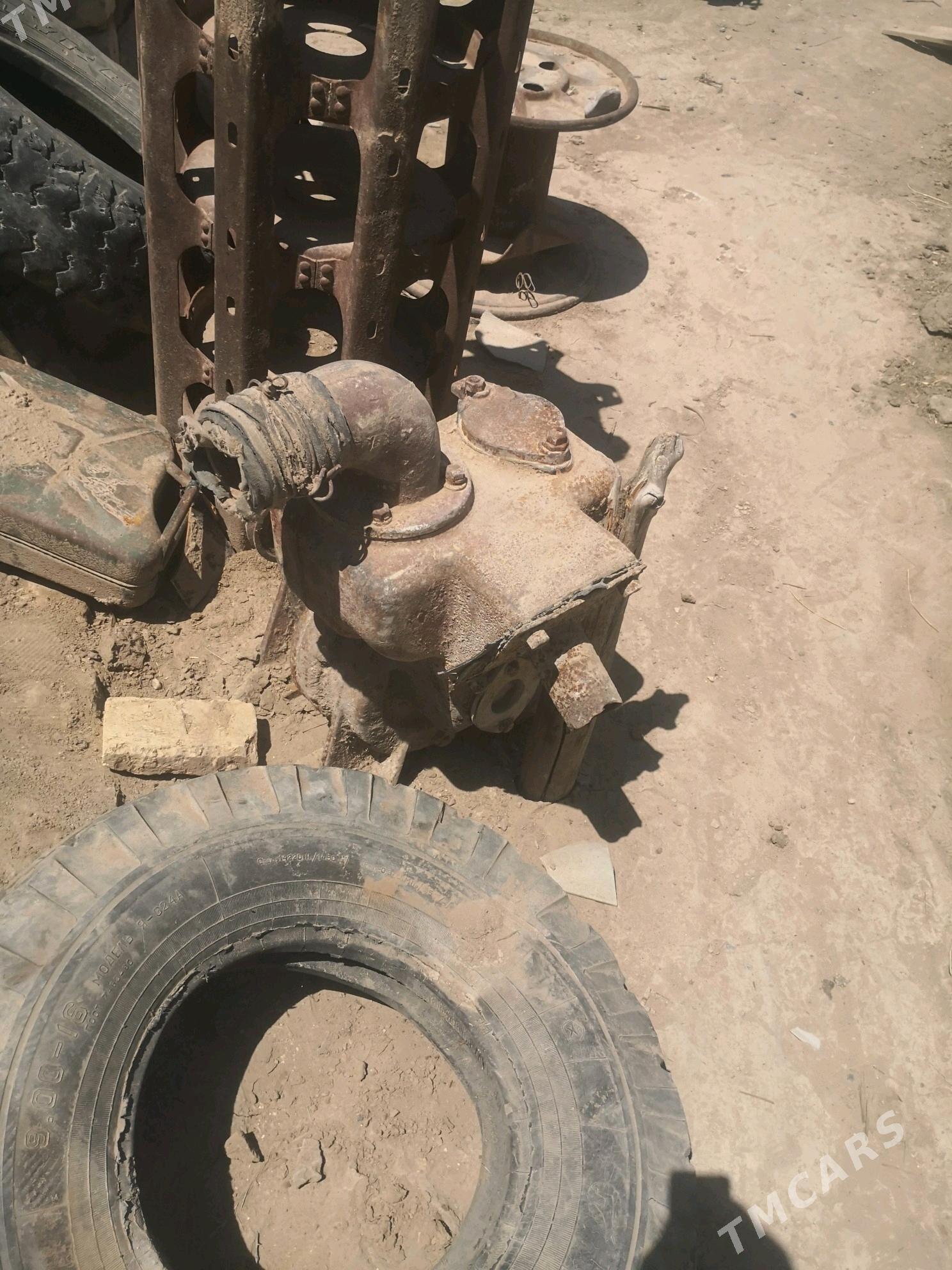 Nasos woma gosulyan - Mary - img 2