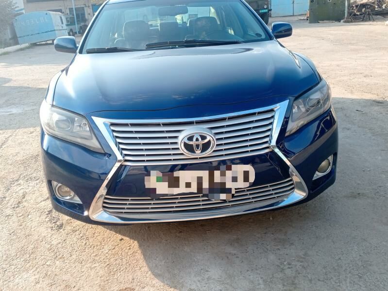 Bufer öküz kelle 3 000 TMT - Туркменабат - img 1