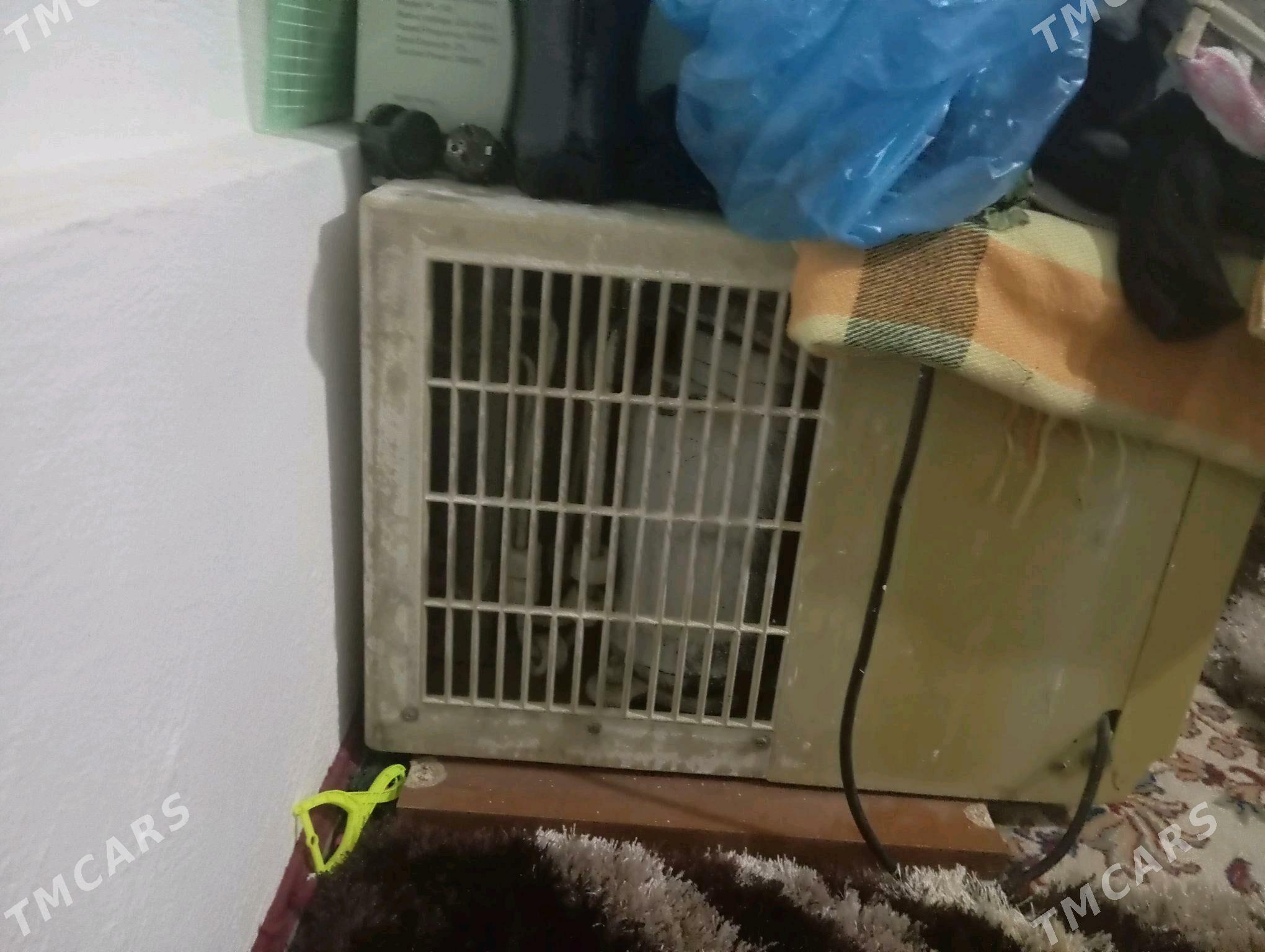 kansener - Ak bugdaý etraby - img 2