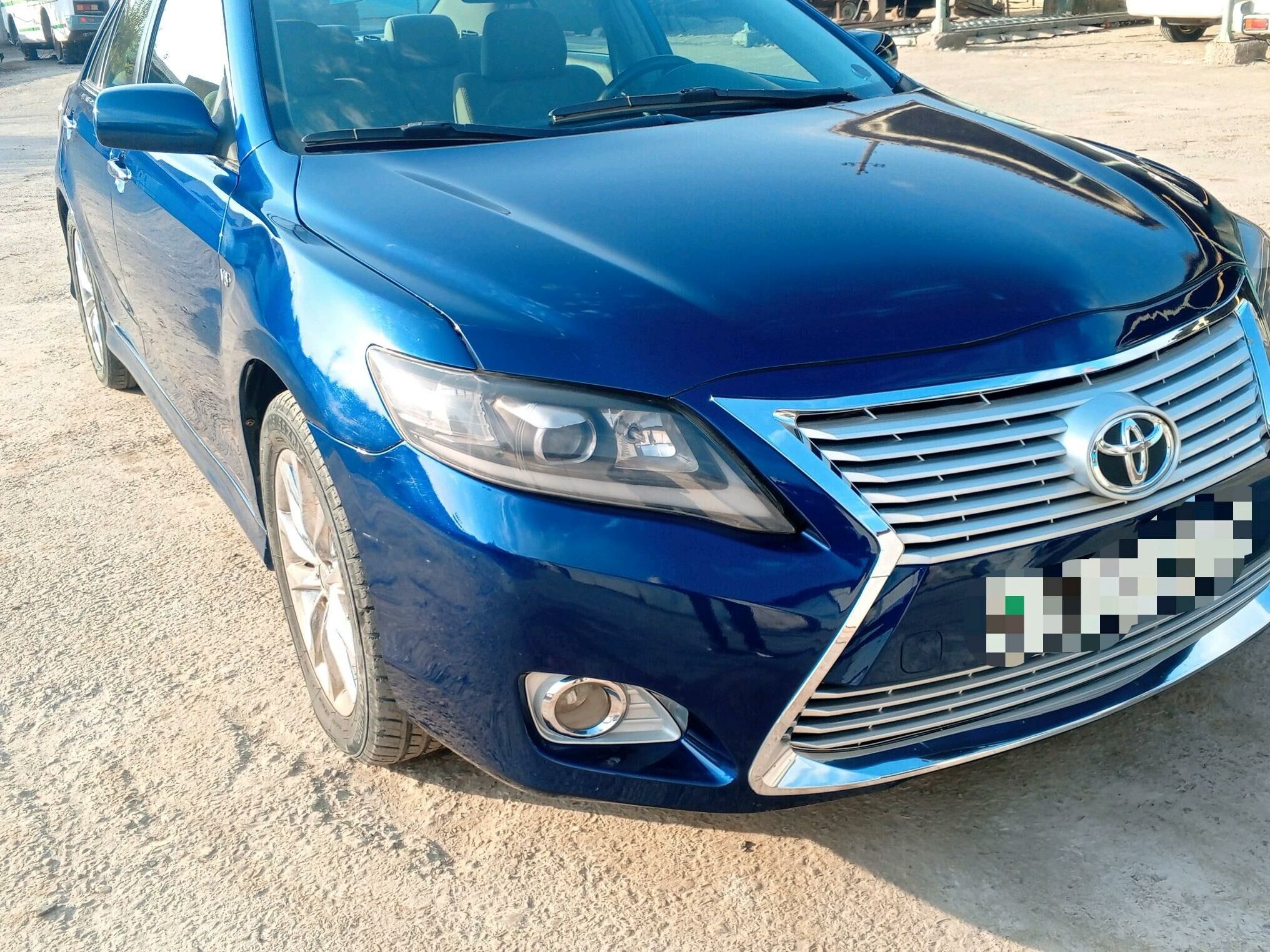 Bufer öküz kelle 3 000 TMT - Туркменабат - img 2