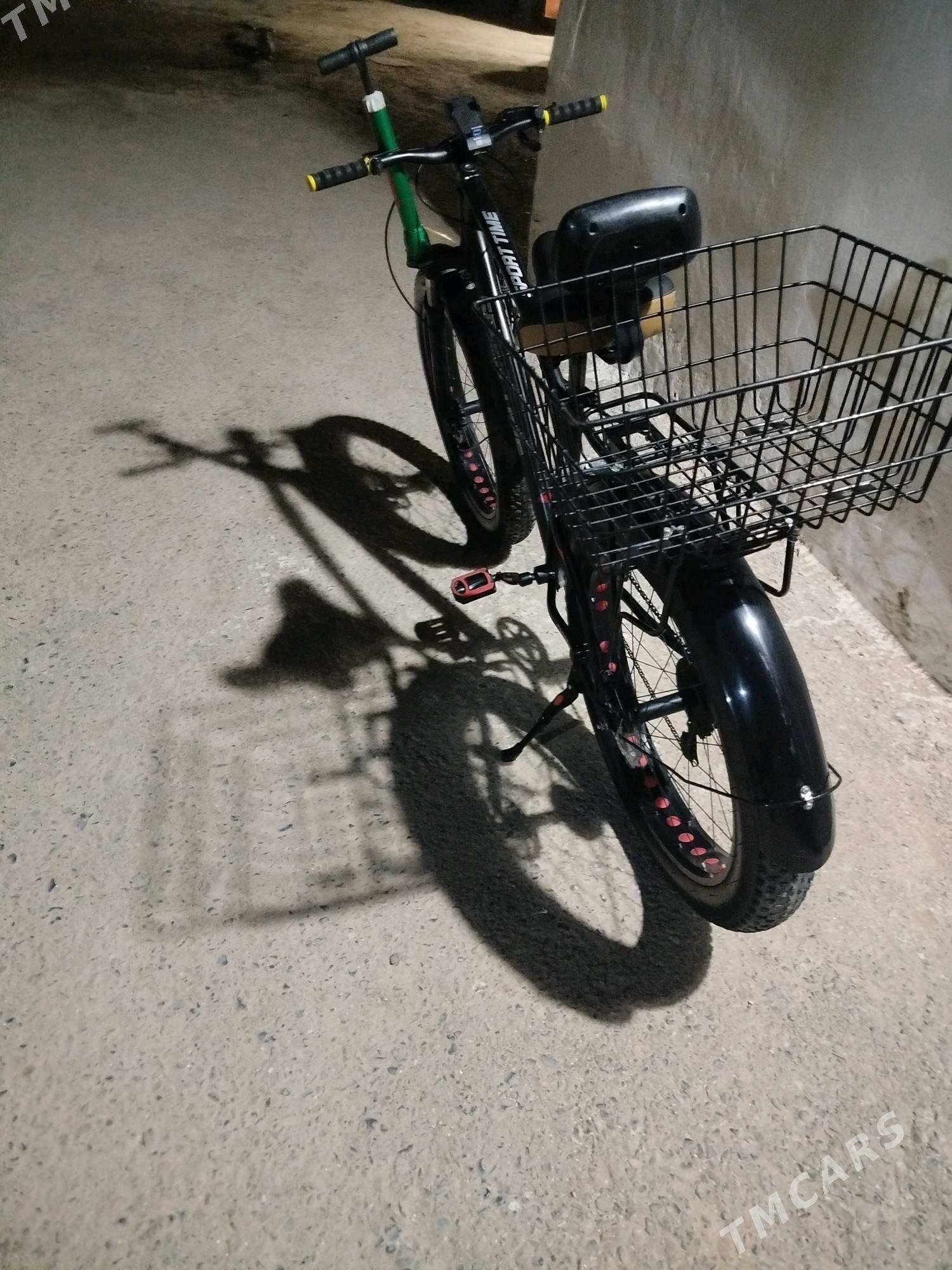 Tigir lokga pakirisga - Tejen - img 3