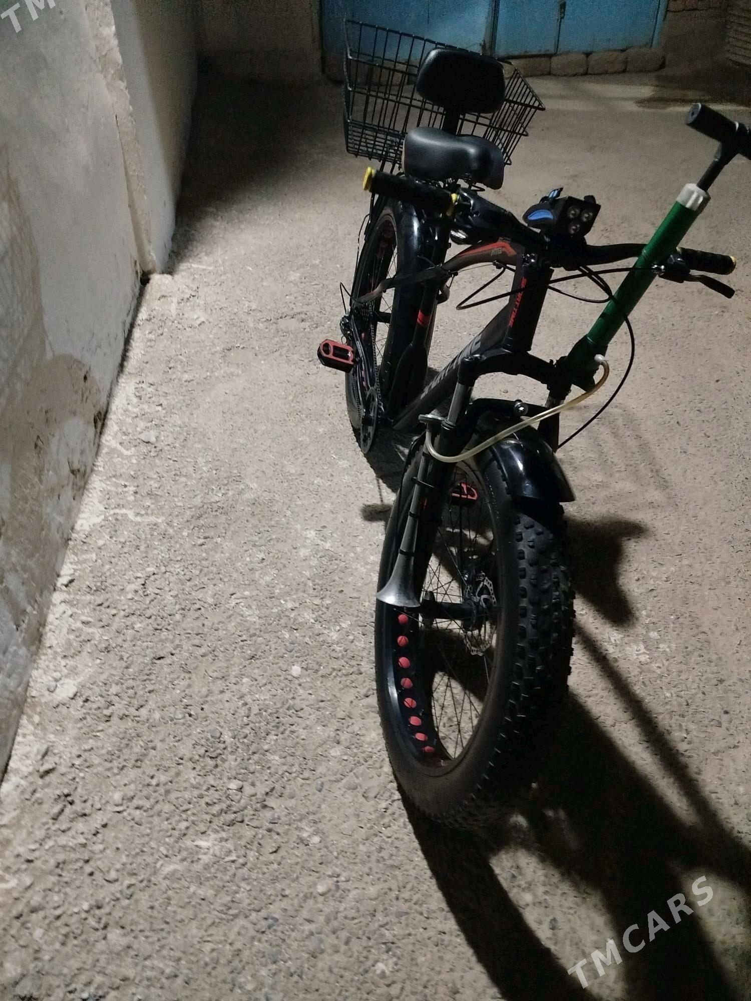 Tigir lokga pakirisga - Tejen - img 4