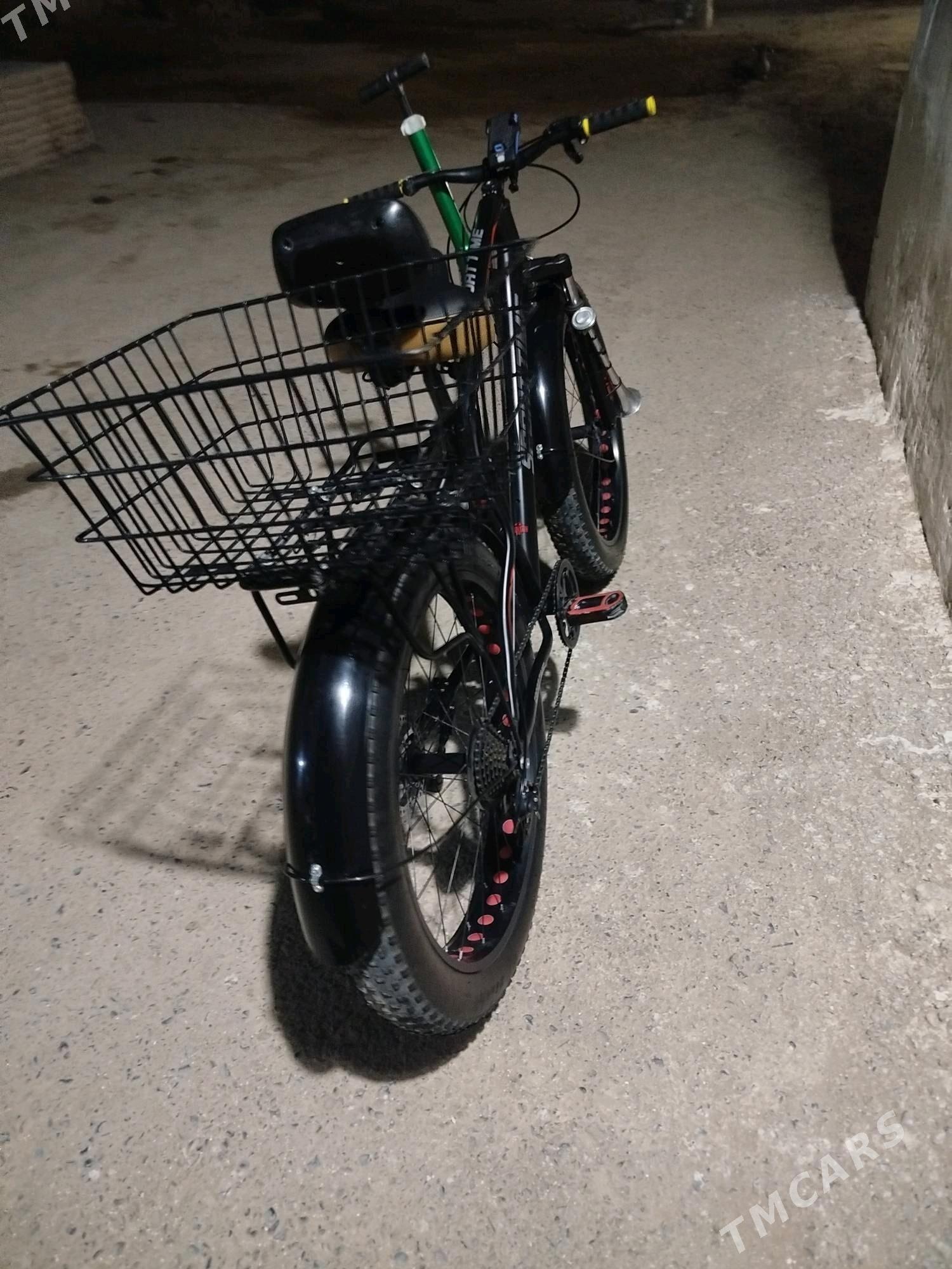 Tigir lokga pakirisga - Tejen - img 2