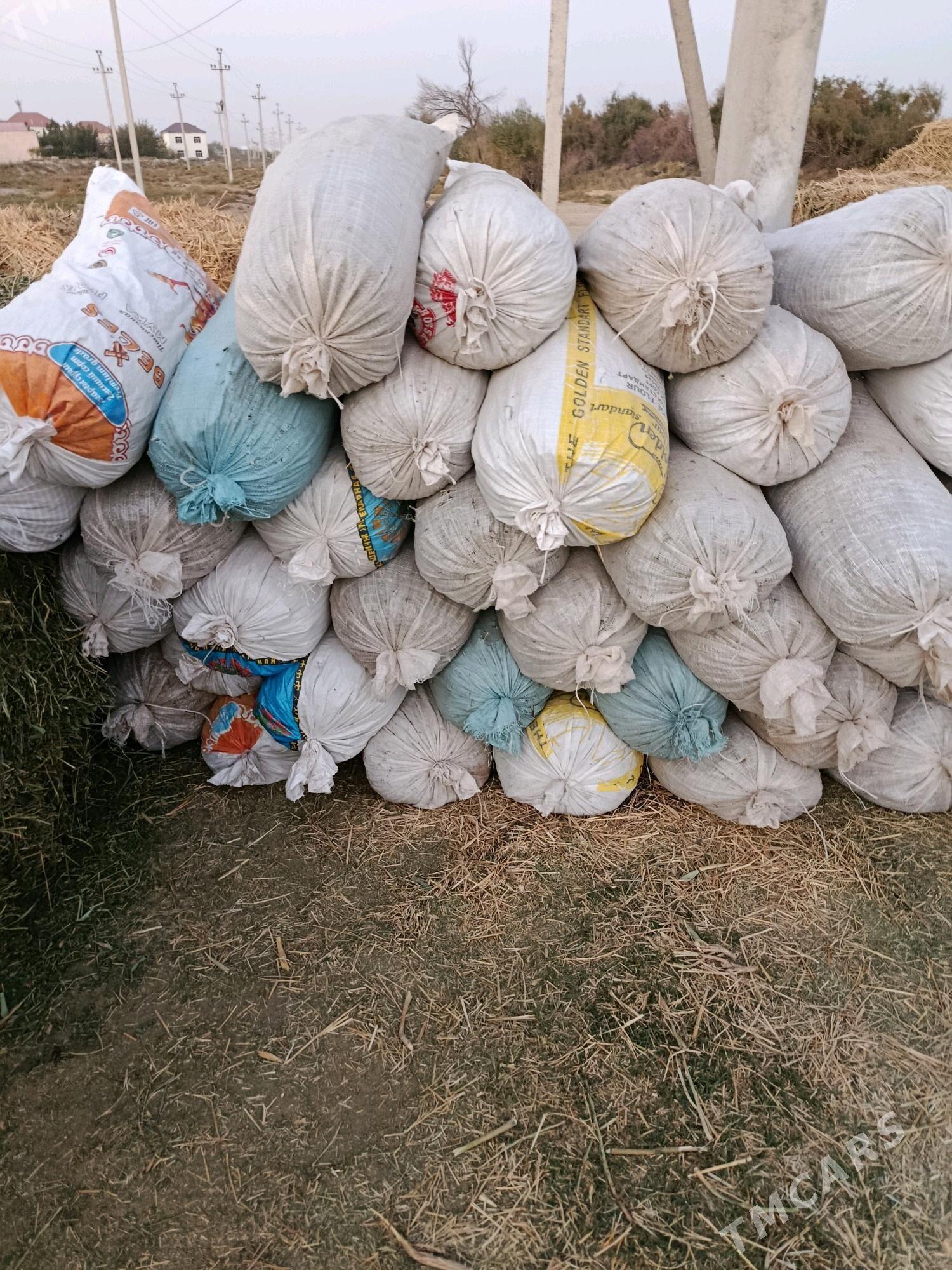 Haltaly üwelen ŷandak - Чоганлы - img 2