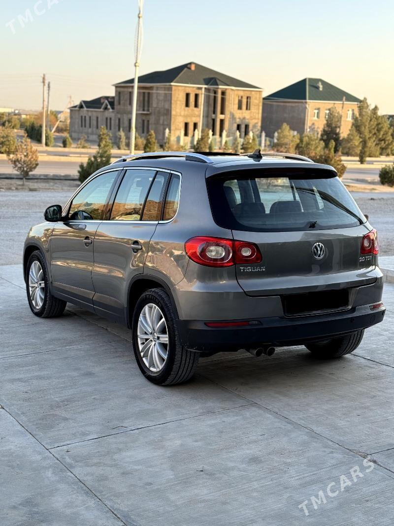 Volkswagen Tiguan 2009 - 130 000 TMT - Balkanabat - img 4