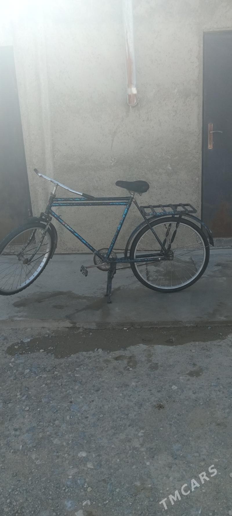 weliseped - Gyzylarbat - img 1