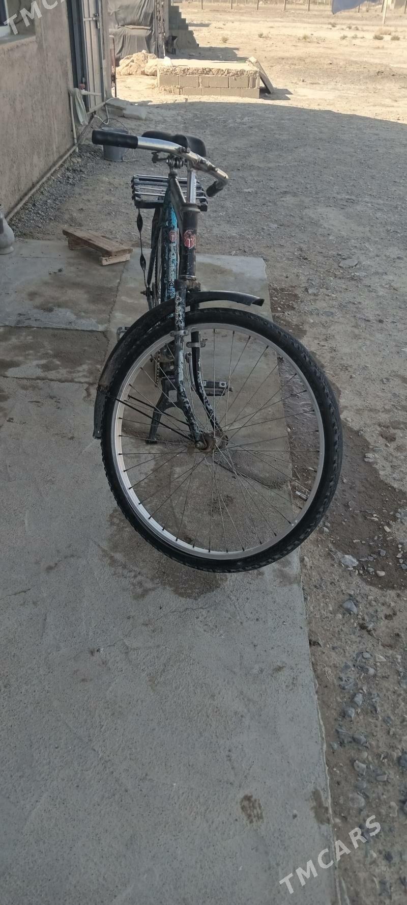 weliseped - Gyzylarbat - img 3