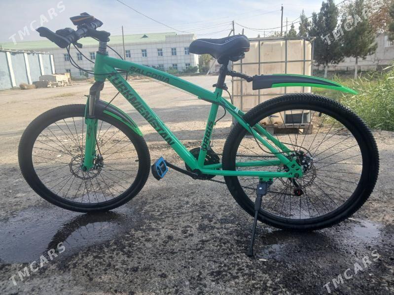 welisopet - Mary - img 1