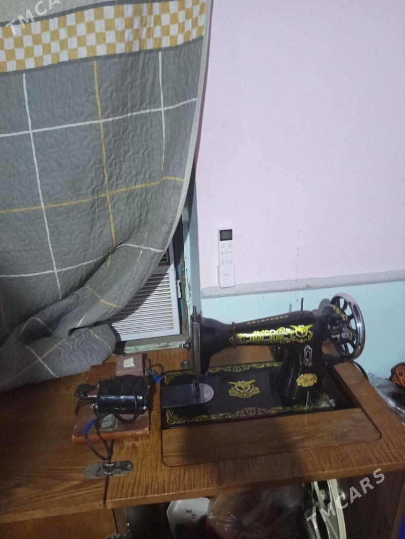 kamyutr masyn - Mary - img 4