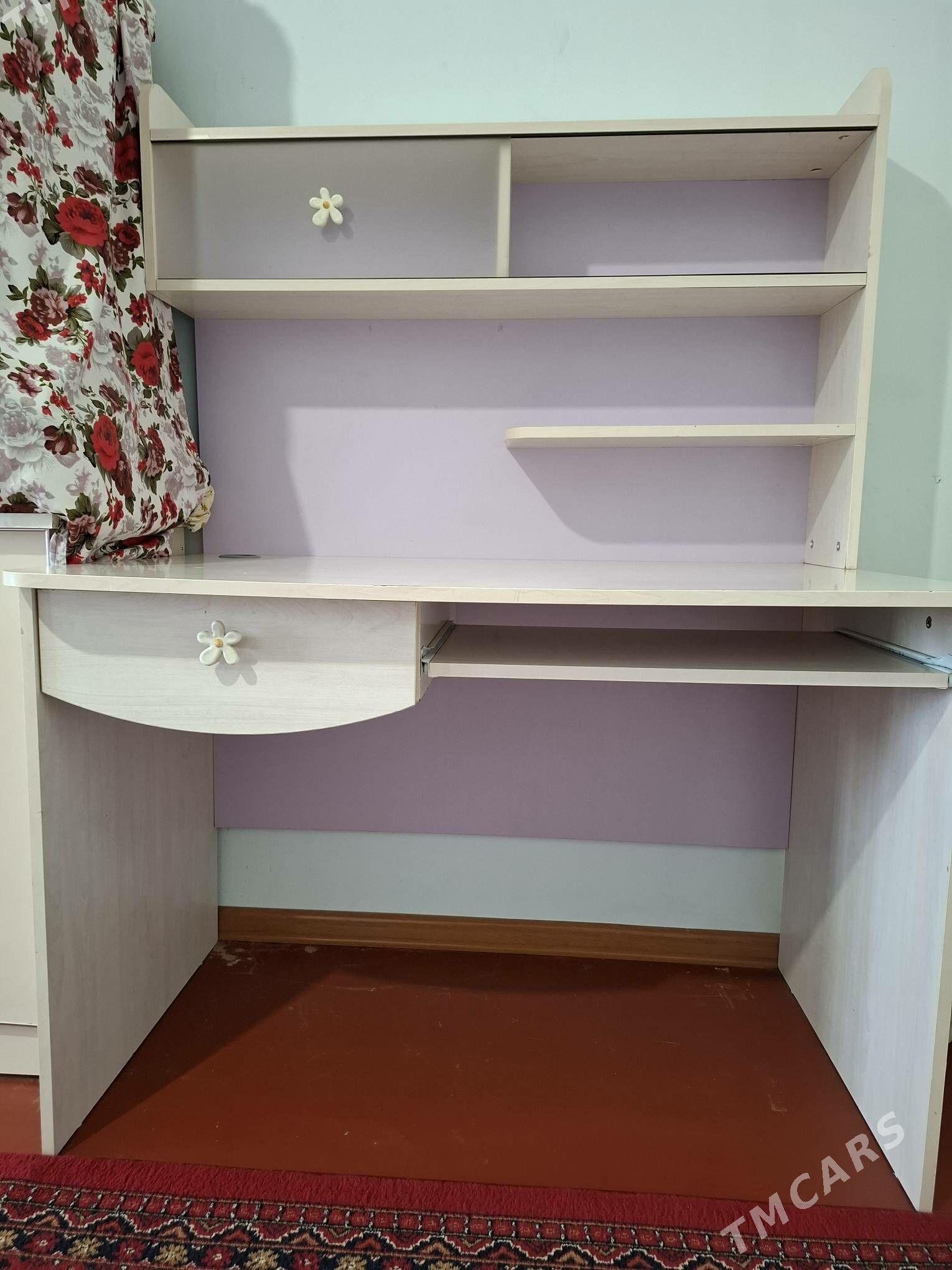 Çaga şfaner - Gökdepe - img 3