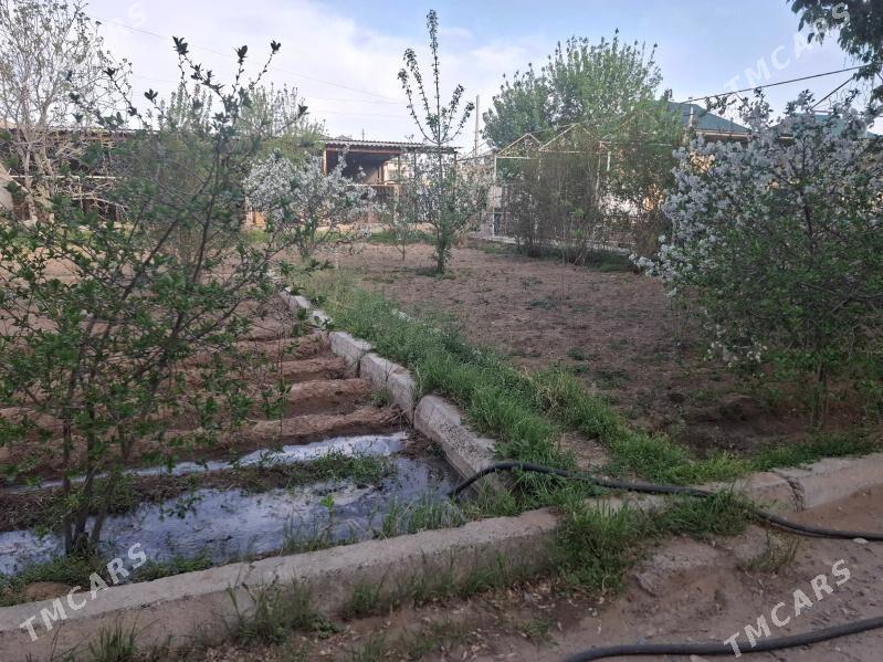 Коттедж - Шатлык - img 5