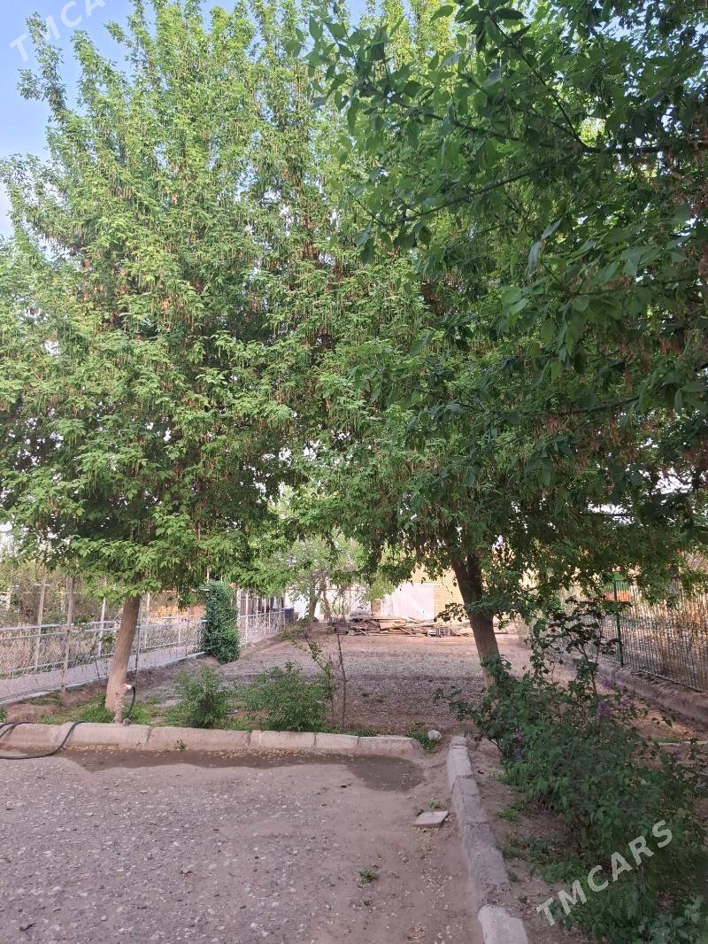 Коттедж - Шатлык - img 3