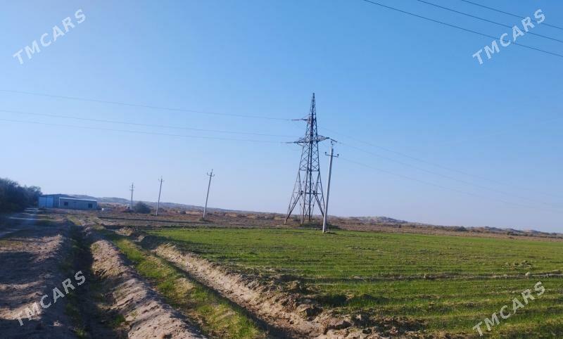 Gökdepe 15 gektar yer zdaniýa - Gökdepe - img 1