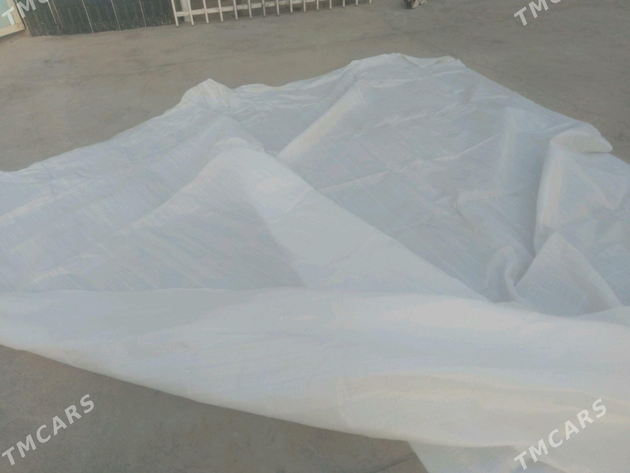 Palata - Теджен - img 3