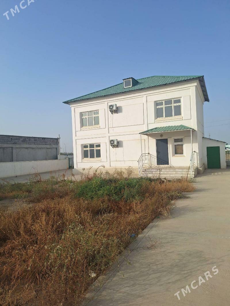 Çoganly Arkaç Kotež - Aşgabat - img 2