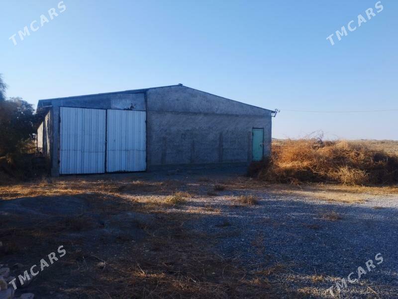 Gökdepe 15 gektar yer zdaniýa - Gökdepe - img 7