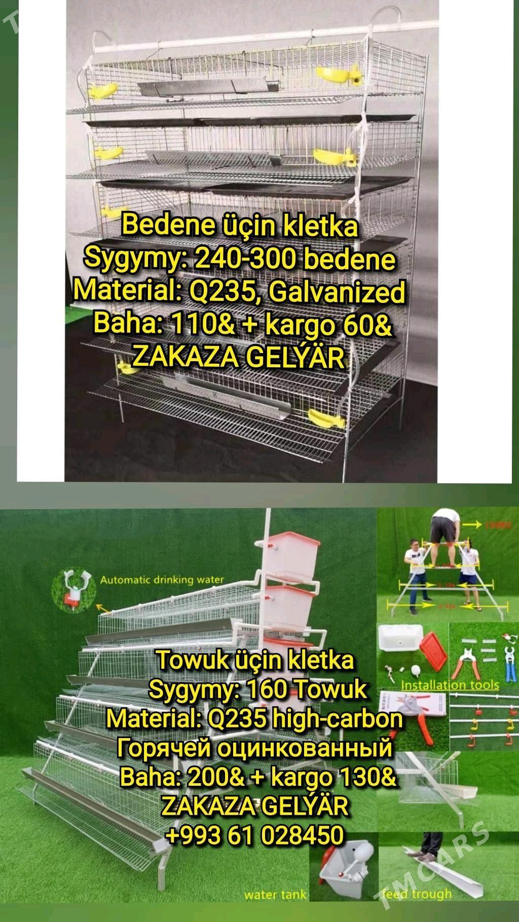 Inkubator Towuk Horaz Jüýje - Aşgabat - img 8