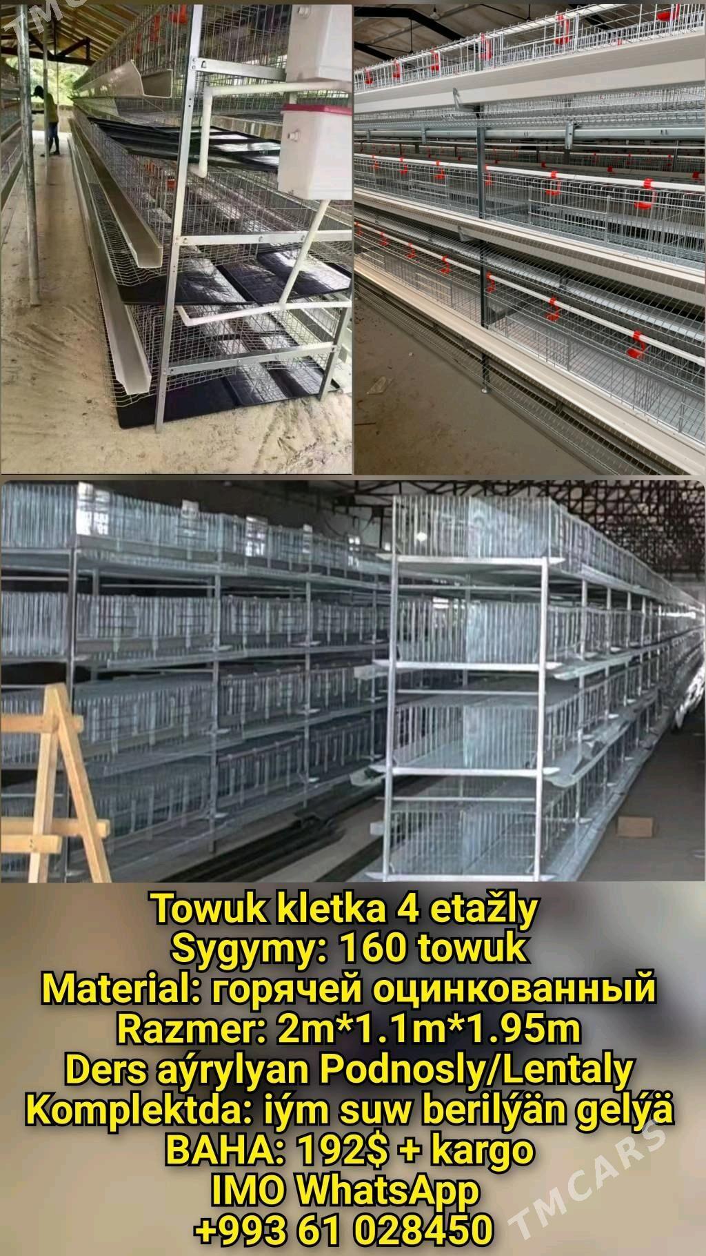 Inkubator Towuk Horaz Jüýje - Aşgabat - img 7