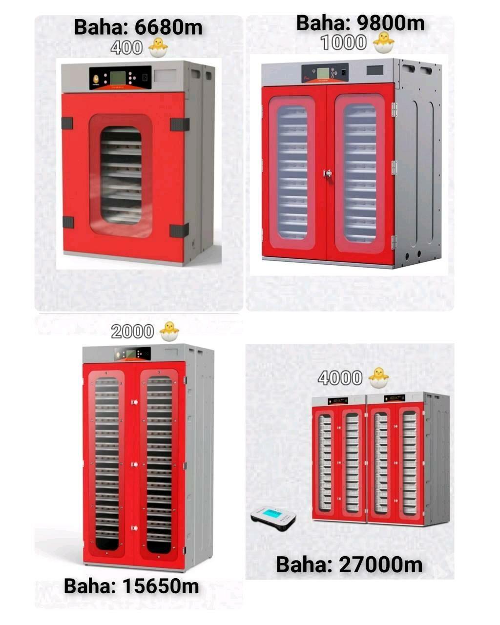 Inkubator Towuk Horaz Jüýje - Aşgabat - img 5