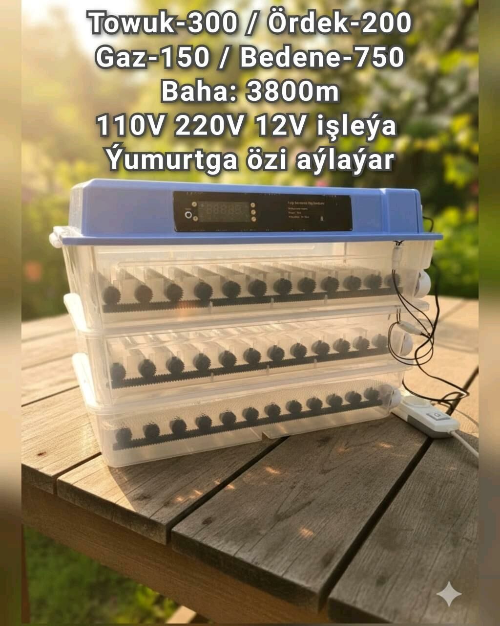 Inkubator Towuk Horaz Jüýje - Aşgabat - img 1