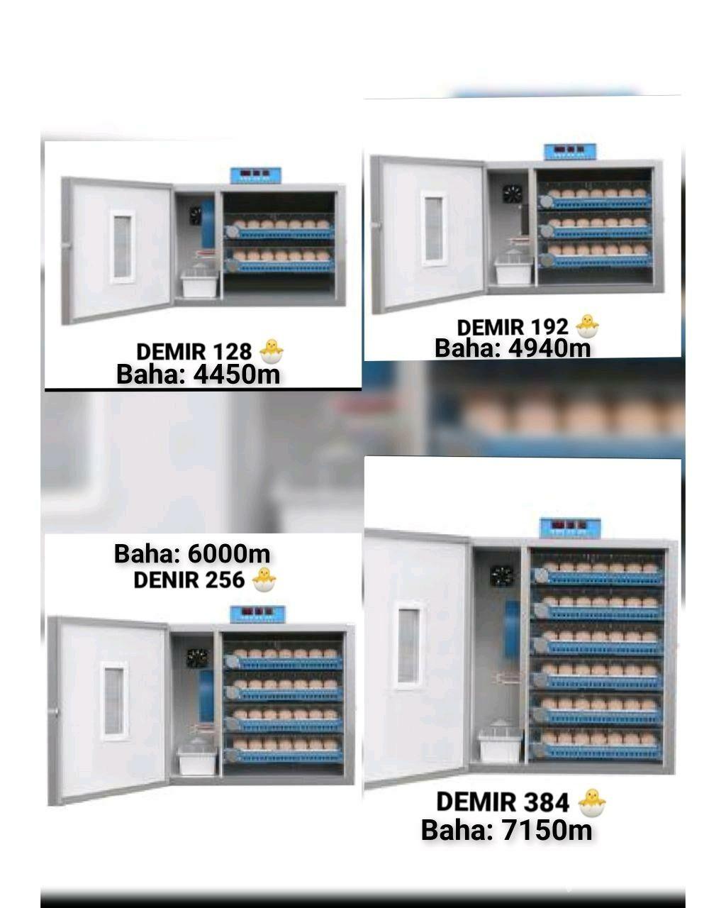 Inkubator Towuk Horaz Jüýje - Aşgabat - img 6