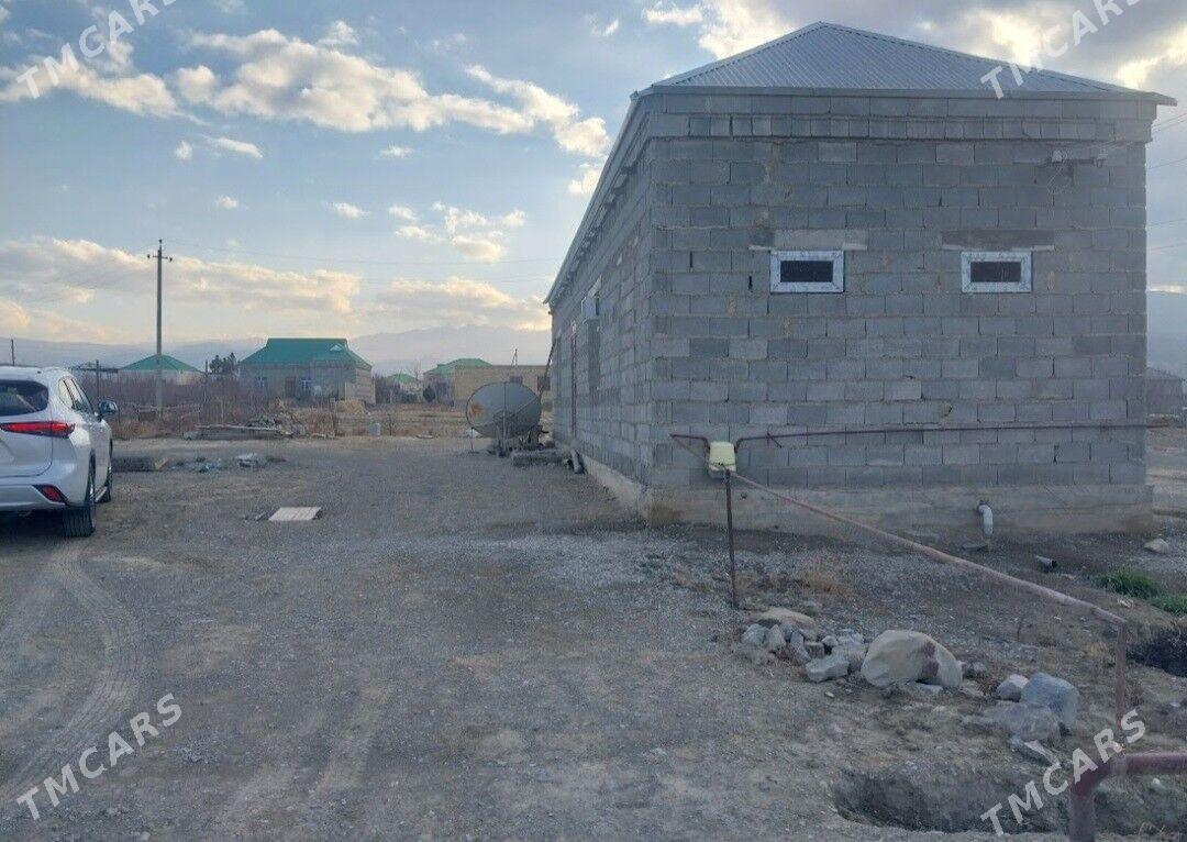 satlyk jay - Бахарден - img 3