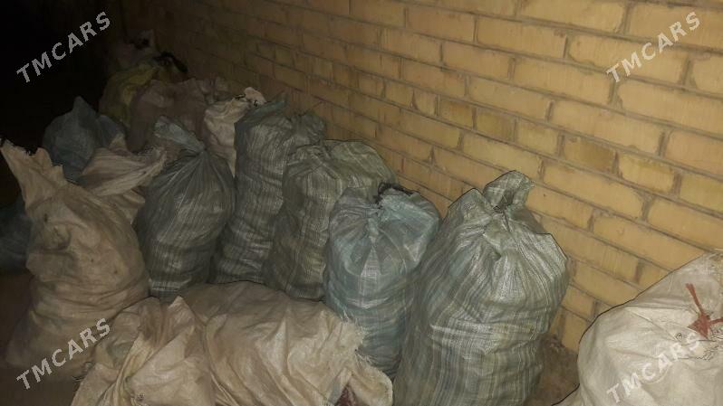 кашир - Туркменабат - img 3