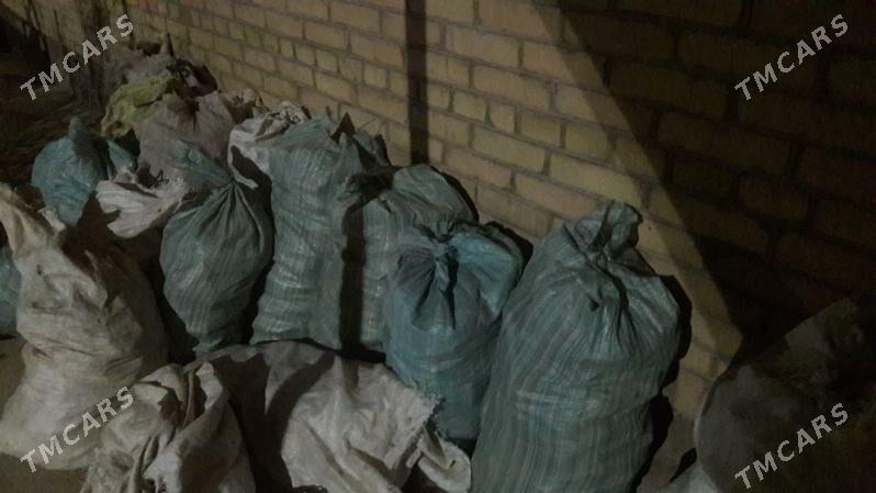 кашир - Туркменабат - img 1