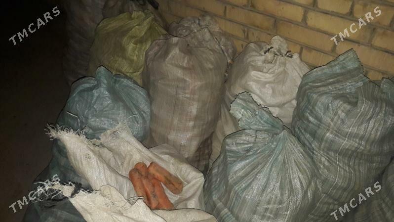 кашир - Туркменабат - img 2