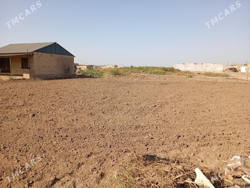 айрапорт дача жайы ве ер мелек - Туркменабат - img 2